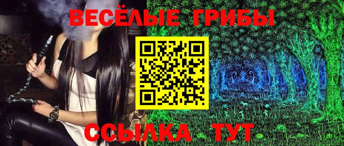 Псилоцибиновые грибы Psilocybine cubensis  Вход с VPN  Шебекино  Галлюциногенные грибы Cubensis 