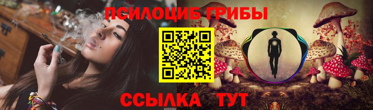 Псилоцибиновые грибы прущие грибы Шебекино